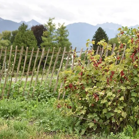 Gaestehaus In Thueringen